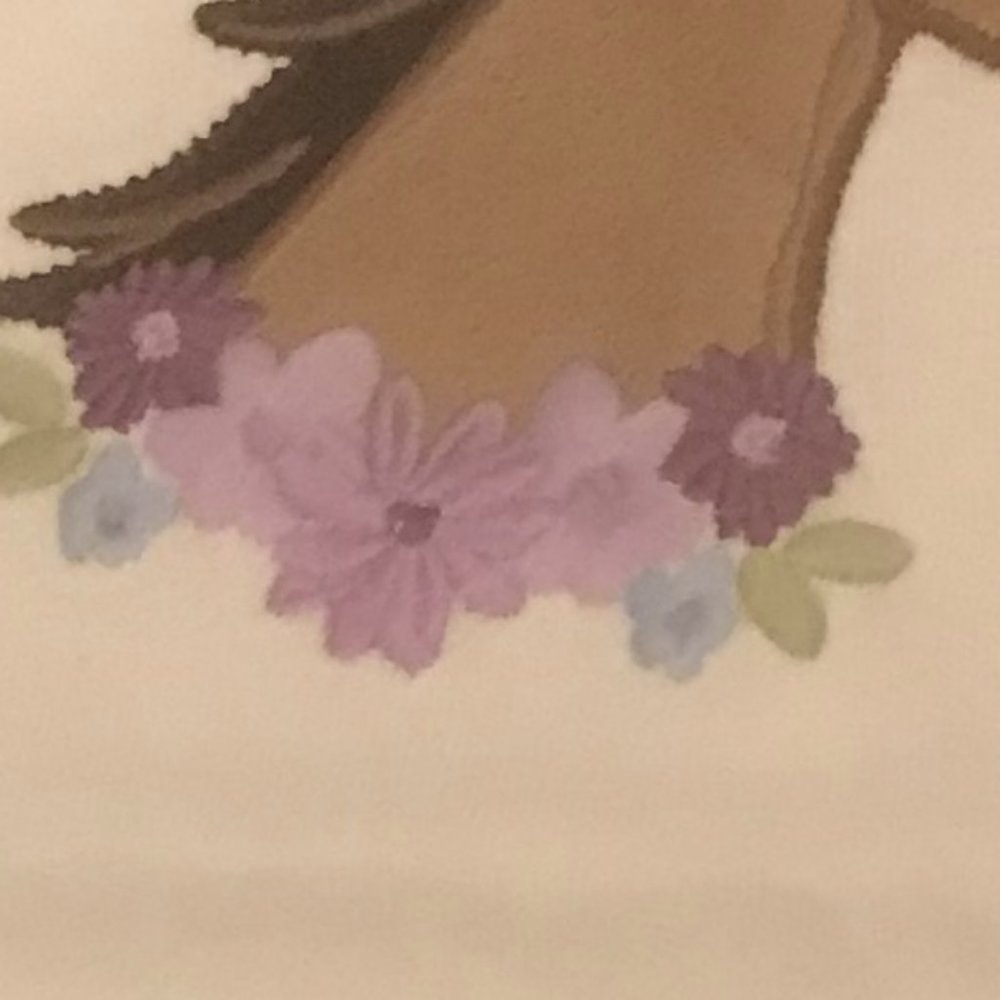 Gymboree cowgirls at heart horse shirt